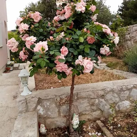 T&c Διαμέρισμα