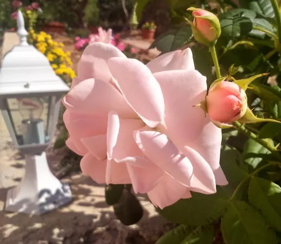 T&c Апартаменты *